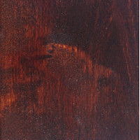 Старый орех 3